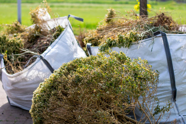 Best Trash Removal Near Me  in Laguna Hills, CA