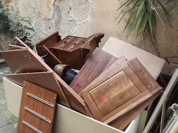 Yard Cleanup Services in Laguna Hills, CA